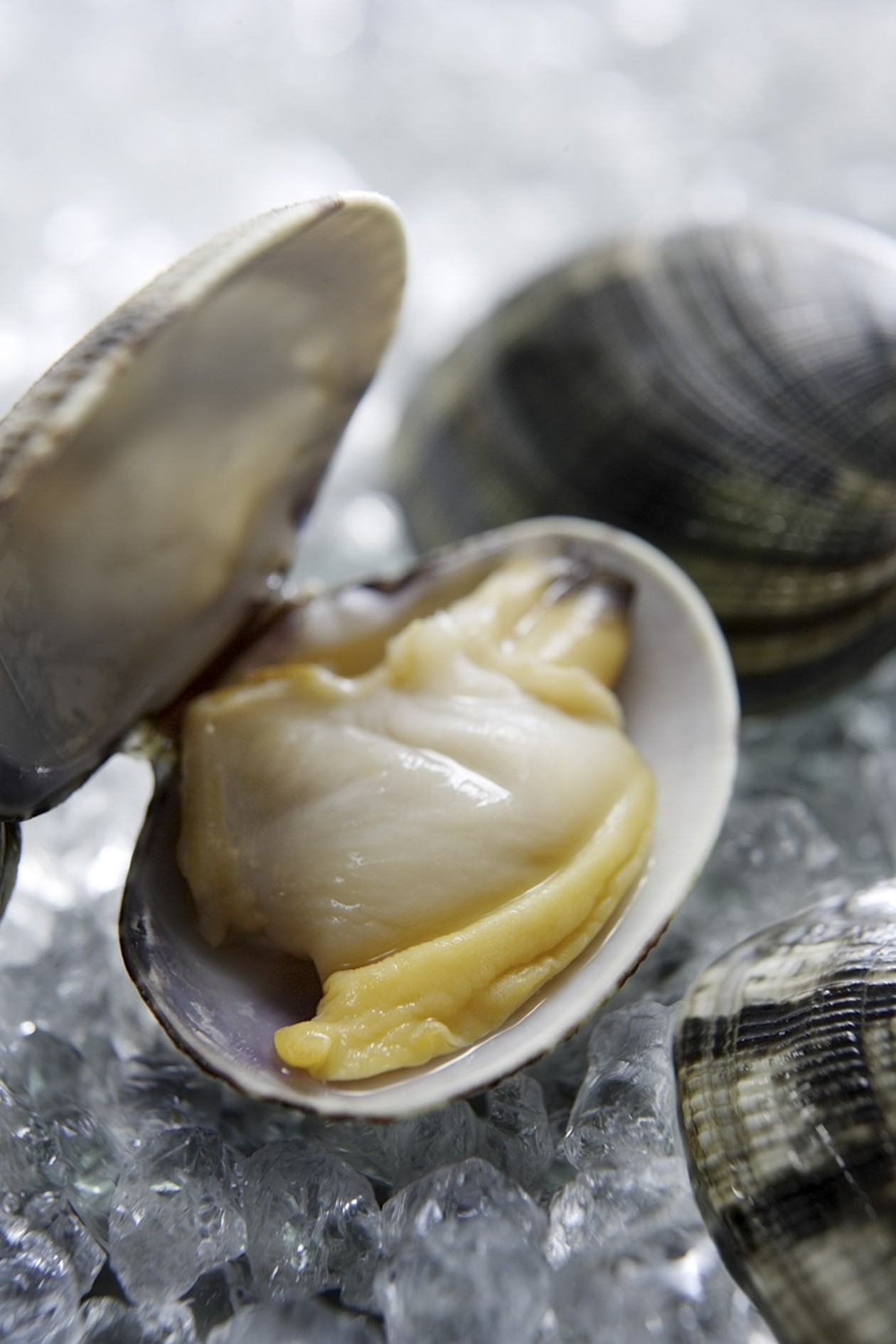 Fotografia food e still life - Davide Cerati Fotografia (12)