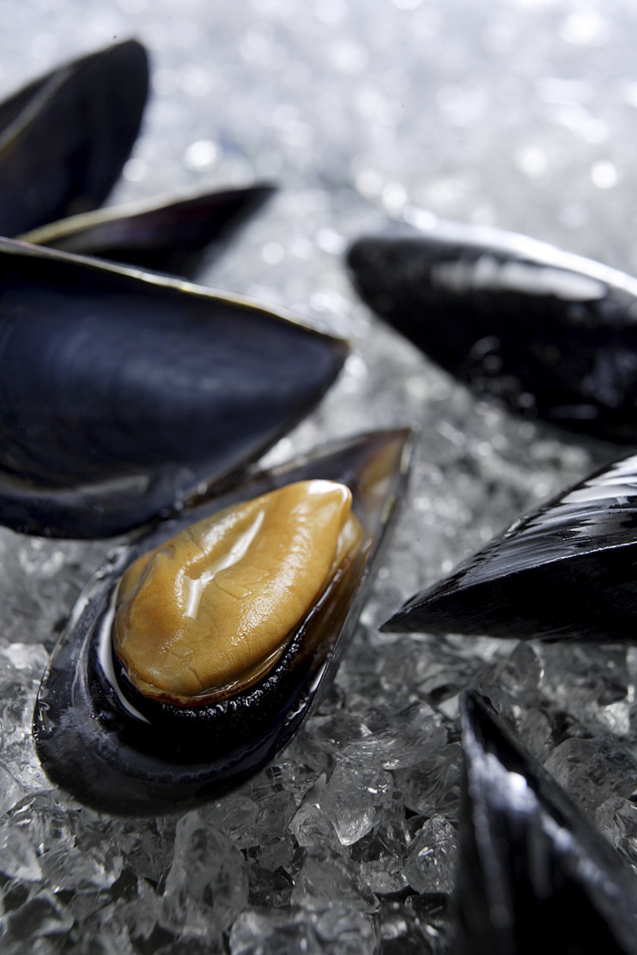 Fotografia food e still life - Davide Cerati Fotografia (22)