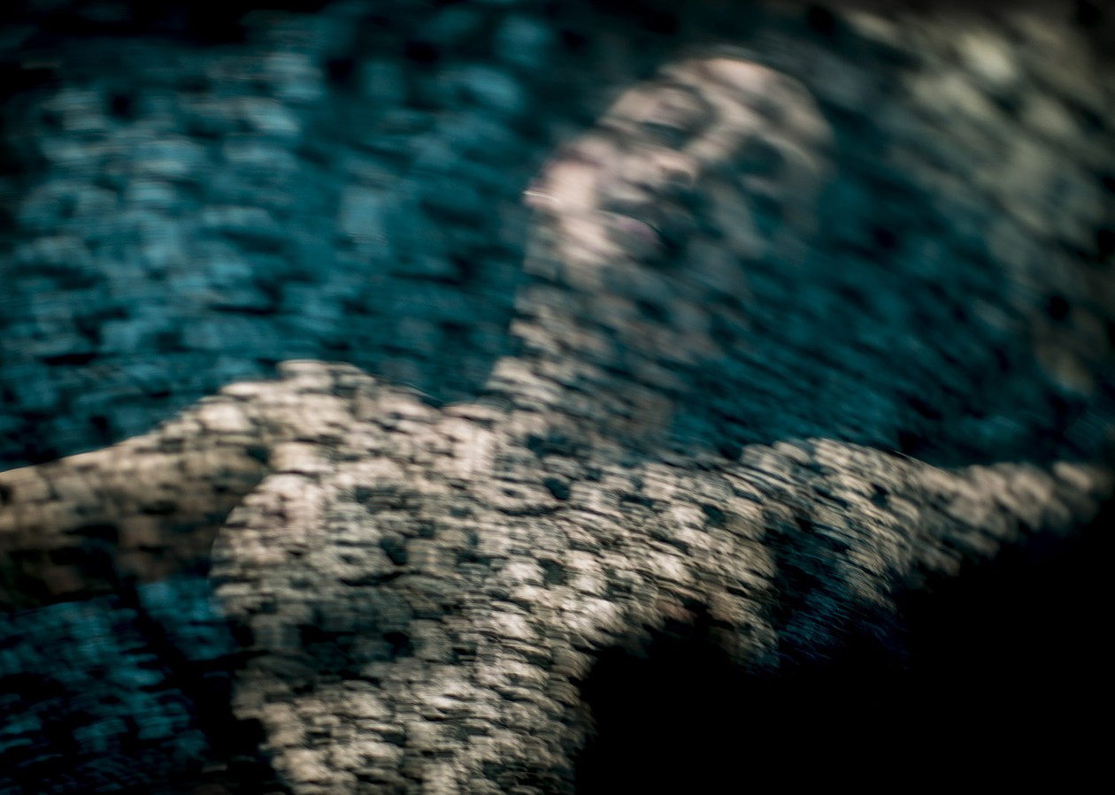 Fine art - Davide Cerati Fotografia (19)